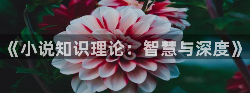 搜书吧永久更新地址：《小说知识理论：智慧与深度》
