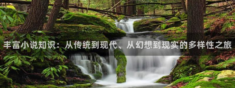 搜书吧怎么进不去：丰富小说知识：从传统到现代、从幻想到现实的多样性之旅